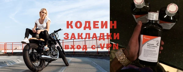 шишки Ладушкин