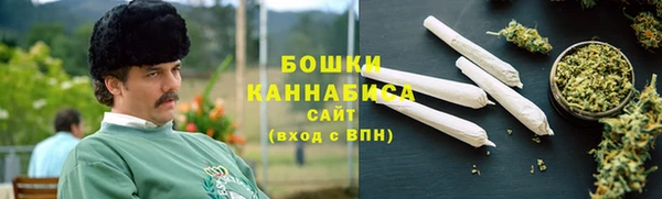 шишки Ладушкин
