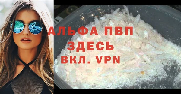 шишки Ладушкин
