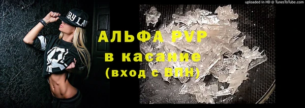 шишки Ладушкин