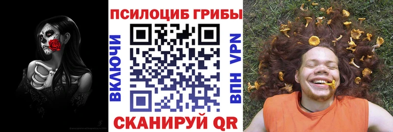 где купить наркоту Сим Псилоцибиновые грибы Psilocybe