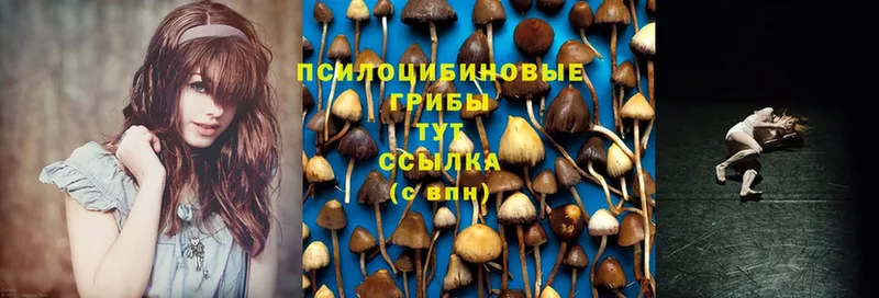 Псилоцибиновые грибы MAGIC MUSHROOMS  Сим 