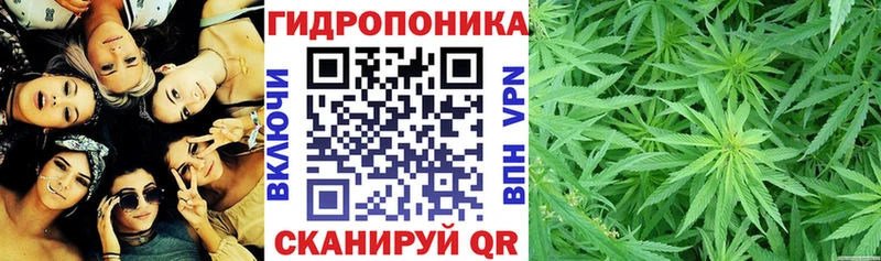 дарк нет состав купить наркотики цена Сим Бошки Шишки MAZAR ссылка на мегу ТОР